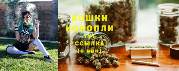 мдпв Володарск