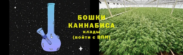 мдпв Володарск