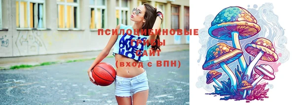 мдпв Володарск